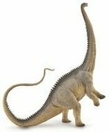 Diplodocus dinosaurov