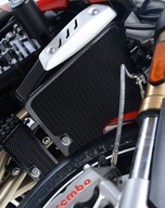 KRYT NA RADIÁTOR RG TRIUMPH SPEED TRIPLE S 16- KRYT NA RADIÁTOR RG TRIUMPH SPEED TRIPLE S 16-