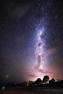 Plagát Hmlovina hviezdy kozmos stromy 61x91,5 cm