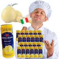 TALIANSKÝ NÁPOJ LIMONATA SANPELLEGRINO 24X330ML TALIANSKÝ NÁPOJ LIMONATA SANPELLEGRINO 24X330ML