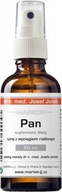 Pán Pán