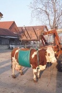 Závesné zariadenie na zdvíhanie kráv 1000 kg