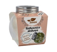 SEMINI zavárací klíčok 400ml + reďkovka SEMINI zavárací klíčok 400ml + reďkovka
