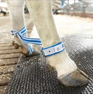 DeLaval fetlock kravský fetlock DeLaval fetlock kravský fetlock
