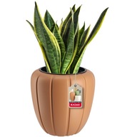 Črepník NA KVETY + VLOŽKA 3D TERAKOTA 40cm Črepník NA KVETY + VLOŽKA 3D TERAKOTA 40cm