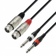 ADAM HALL K3TFP0300 KABEL 2X XLR F - 2X JACK M, 3M