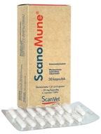 SCANVET Scanomune imunita psov a mačiek 20 mg 30 kapsúl SCANVET Scanomune imunita psov a mačiek 20 mg 30 kapsúl