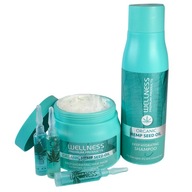 WELLNESS VLASOVÁ MASKA + ŠAMPÓN 4 AMPULKY ZDARMA WELLNESS VLASOVÁ MASKA + ŠAMPÓN 4 AMPULKY ZDARMA