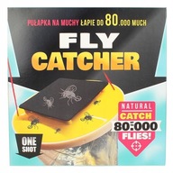 Efektívny lapač hmyzu Trap Fly Bag