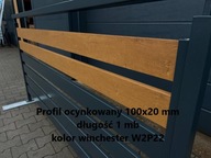 PROFIL 100x20mm, pozinkovaný, winchester, 1 r.m