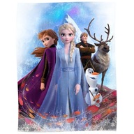 DEKA/poťah Frozen II: Frozen II (006331) 130cm x 170cm DEKA/poťah Frozen II: Frozen II (006331) 130cm x 170cm