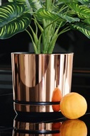 Obal 18 Losos, moderný, elegantný, LESK Obal 18 Losos, moderný, elegantný, LESK