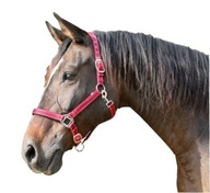 Ohlávka pre koňa Mustang, veľ čo B, Ohlávka pre koňa Mustang, veľ čo B,