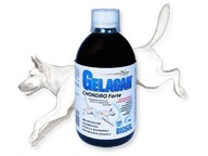 Gelacan Chondro Forte Biosol 500 ml Gelacan Chondro Forte Biosol 500 ml