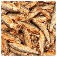 GLOPEX DRISH FISH Smelt Stinte 200g/1000ml GLOPEX DRISH FISH Smelt Stinte 200g/1000ml