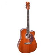 Akustická gitara VIBE VA741C 4/4 dreadnought