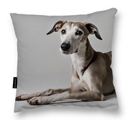 WHIPPET VANKÚŠ PRE psa 40x40 perfektný DARČEK whippet na spanie veľkých WHIPPET VANKÚŠ PRE psa 40x40 perfektný DARČEK whippet na spanie veľkých