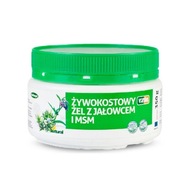 VIRDE kostihojový gél s borievkou a MSM na modriny a pomliaždeniny 350 g VIRDE kostihojový gél s borievkou a MSM na modriny a pomliaždeniny 350 g