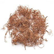 Tree Roots Diorama - korene stromov Tree Roots Diorama - korene stromov