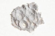 Biely perleťový pigment do lakovej živice 100g Biely perleťový pigment do lakovej živice 100g