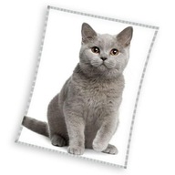 Deka Cat biela šedá 4050 CARBOTEX 150x200 Deka Cat biela šedá 4050 CARBOTEX 150x200
