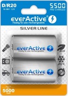 2x everActive R20/D 5500 mAh Ni-MH batérie 2x everActive R20/D 5500 mAh Ni-MH batérie