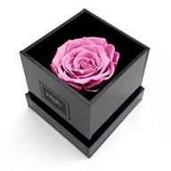 Prírodná ružová večná ruža v elegantnej krabičke