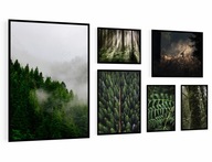 SET SET 6 ks plagátových obrazov v lesných rámoch