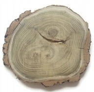 Drevené plátky akáciového dreva, leštené, 25-28 cm