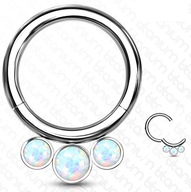 SEGMENTOVÉ KOLESO CLICKER 1,2/8 septum ucho TITÁN SEGMENTOVÉ KOLESO CLICKER 1,2/8 septum ucho TITÁN