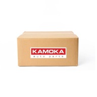 ČISTIČ BRZD 8020001 KAMOKA ČISTIČ BRZD 8020001 KAMOKA