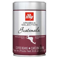 illy Monoarabica Guatemala zrnková káva 250g illy Monoarabica Guatemala zrnková káva 250g