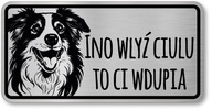 Prihlásiť pozornosť psovi border kolie v Sliezsku Prihlásiť pozornosť psovi border kolie v Sliezsku