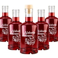 10 ks sklenených fľaštičiek Tadek 250 ml na tinktúry 10 ks sklenených fľaštičiek Tadek 250 ml na tinktúry