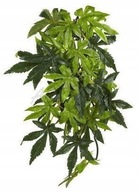 Umelá dekorácia do terária pre rastliny Silk Abuliton M Umelá dekorácia do terária pre rastliny Silk Abuliton M