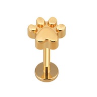 Titánový labret náušník zlatá labka helix lalok lastúra 1,2/6 Titánový labret náušník zlatá labka helix lalok lastúra 1,2/6
