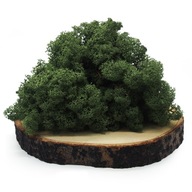 CHROBOTEK MOSS Tmavozelený 500g Hrubý nórsky CHROBOTEK MOSS Tmavozelený 500g Hrubý nórsky