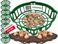 KOŠÍK NA SADENIE CIBUĽOV Kryt na cibuľky, kvetinové koše, 30 cm, 10 ks. KOŠÍK NA SADENIE CIBUĽOV Kryt na cibuľky, kvetinové koše, 30 cm, 10 ks.