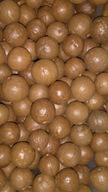 Makadamiové orechy Makadamia v škrupine 1kg