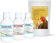 Vitamíny pre nosnice SET 4 produktov Cesnak Vitamíny pre nosnice SET 4 produktov Cesnak