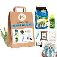 SANSEVIERIA HOYA SADA NA VÝSADBU KAKTUSU PÔDA + LECA + HNOJIVO SANSEVIERIA HOYA SADA NA VÝSADBU KAKTUSU PÔDA + LECA + HNOJIVO