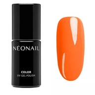 NEONAIL HYBRID LAKE SOM NEZASTAVITEĽNÝ 7,2ML NEONAIL HYBRID LAKE SOM NEZASTAVITEĽNÝ 7,2ML
