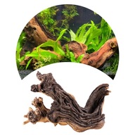 Akvárium Root Hard Heavy Mopani S 20cm Akvárium Root Hard Heavy Mopani S 20cm