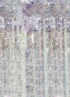Pozadie HOLOGRAPHIC fotobúdky Pozadie HOLOGRAPHIC fotobúdky