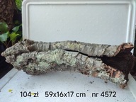 Korková rúrka, kôra korkového dubu č.4572