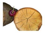 Ovocné drevo na údenie.čerešňa.čerešňa vtáčia