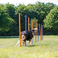 Dog Activity Trixie dog agility prekážková dráha Dog Activity Trixie dog agility prekážková dráha