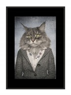 OBRAZOVÝ PLAGÁT V RÁME 43x33 cm Mačka P771 OBRAZOVÝ PLAGÁT V RÁME 43x33 cm Mačka P771