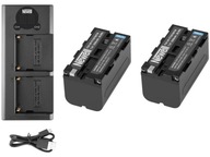 NEWELL DL-USB-C dvojkanálová nabíjačka + batérie