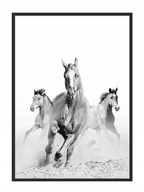 OBRAZOVÝ PLAGÁT V RÁME 33x43 cm Kone P927 OBRAZOVÝ PLAGÁT V RÁME 33x43 cm Kone P927